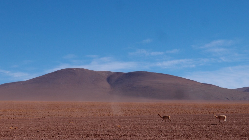 Eldoradonews vous propose une balade la tête dans le ciel bolivien