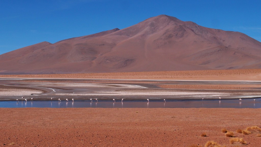 Eldoradonews vous propose une balade la tête dans le ciel bolivien