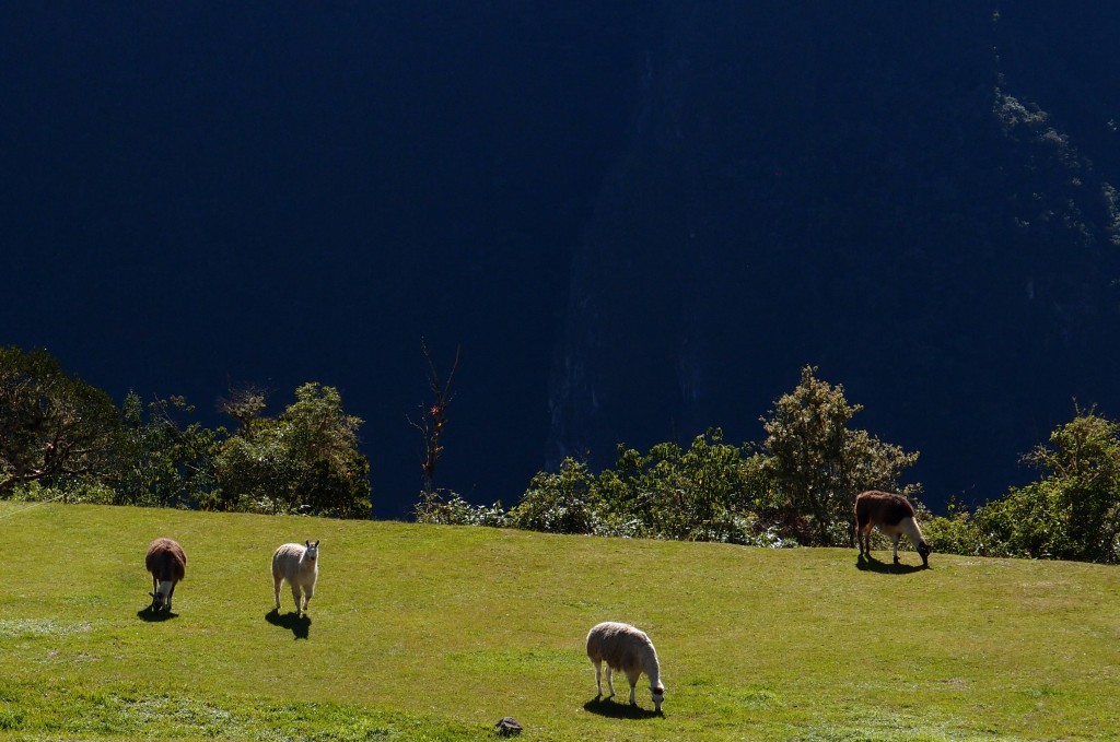 Eldoradonews vous emmène sur les traces du Machu Picchu et de ses légendes